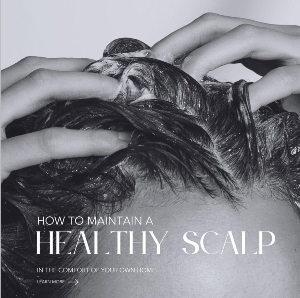 How To Maintain A Healthy Scalp. Step By Step.